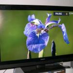 Philips 52" LCD HDTV
Refurbished $399
90 Day Warranty